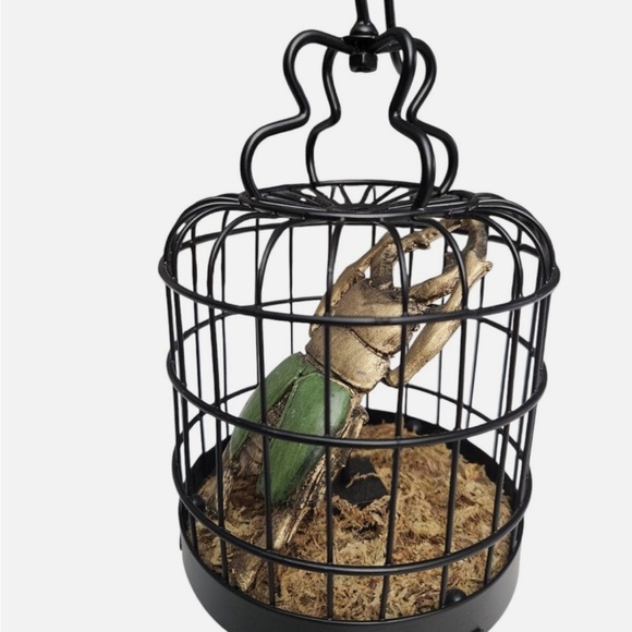 Other - Black Wire Birdcage w/ Gold/Green Scarab Beetle Dark Academia Gothic Decor